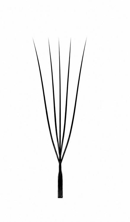 Extensions U - 5D
